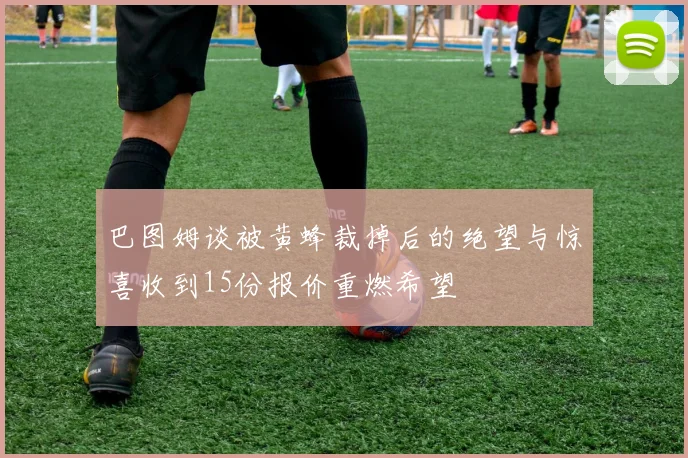 巴图姆谈被黄蜂裁掉后的绝望与惊喜收到15份报价重燃希望